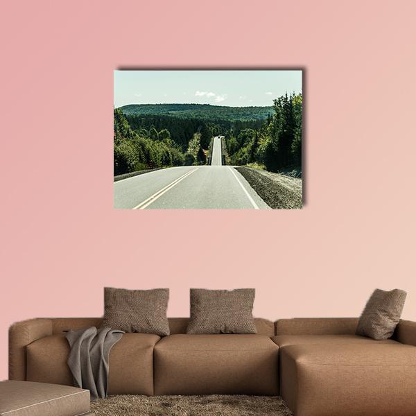 Road Through Algonquin Provincial Park Canvas Wall Art in white, gray and green, single panel hung on a wall