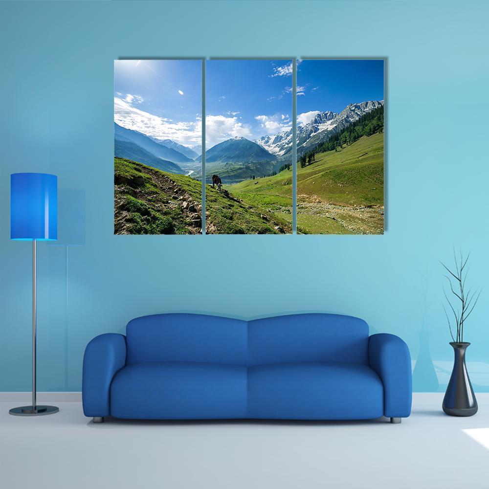 Rocky Mountains And Green Field In Jammu And Kashmir Canvas Wall Art-3 Horizontal-Gallery Wrap-37" x 24"-Tiaracle