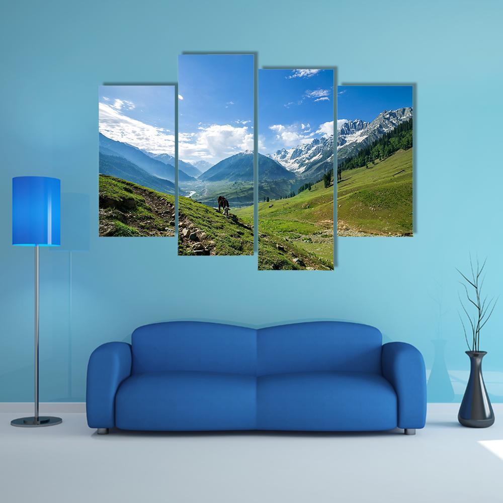 Rocky Mountains And Green Field In Jammu And Kashmir Canvas Wall Art-4 Pop-Gallery Wrap-50" x 32"-Tiaracle