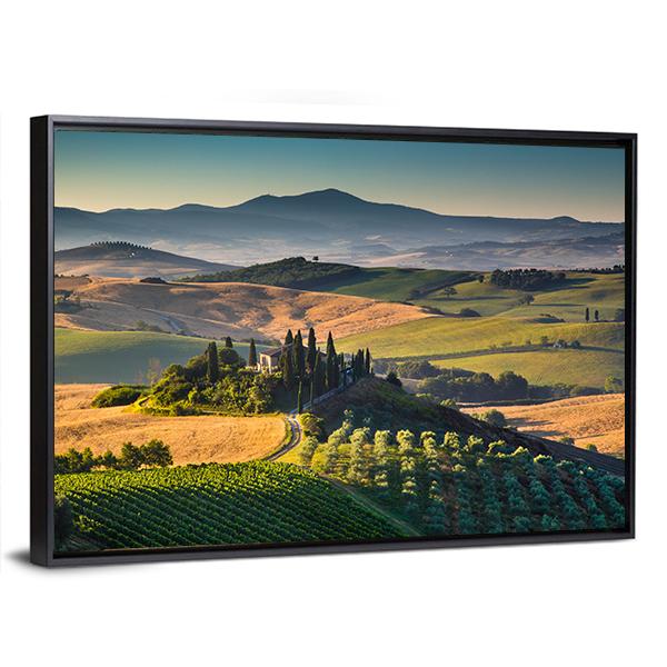 Rolling Hills And Valleys In Golden Morning Light Canvas Wall Art-3 Horizontal-Gallery Wrap-25" x 16"-Tiaracle