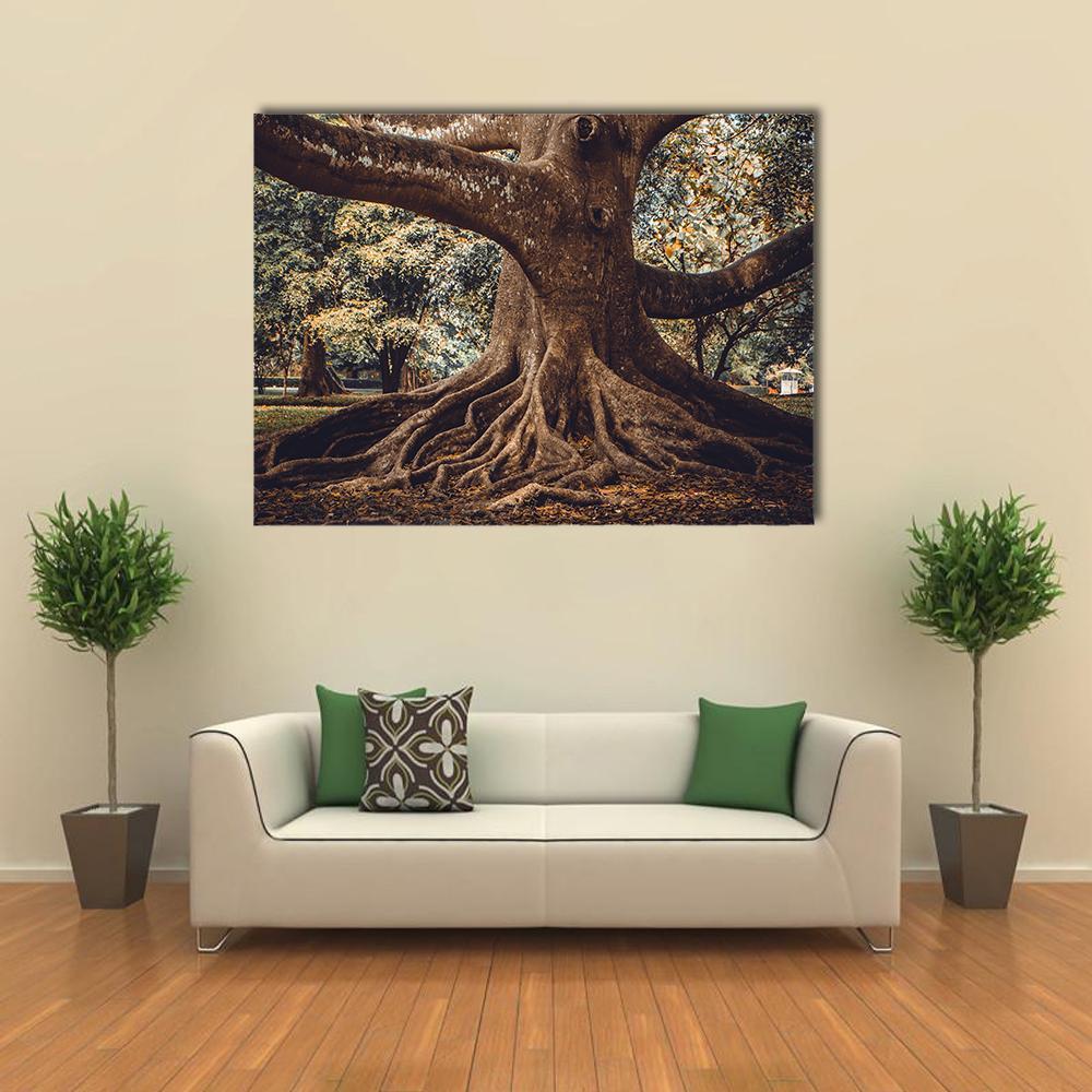 Tree Roots in Forest Canvas Wall Art in brown and green, single panel hung on a wall