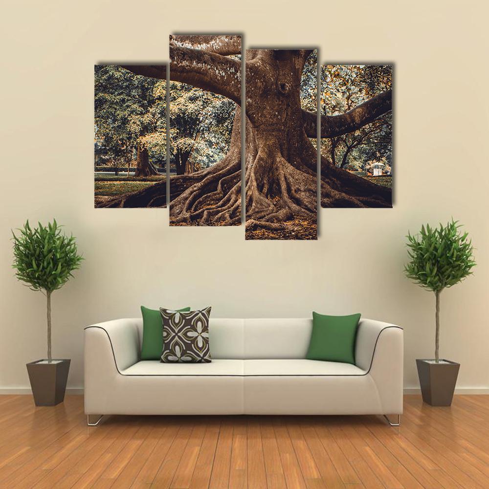 Root Of The Tree In The Forest Canvas Wall Art-4 Pop-Gallery Wrap-50" x 32"-Tiaracle