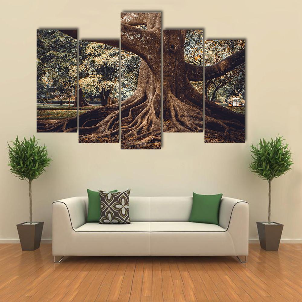 Root Of The Tree In The Forest Canvas Wall Art-5 Pop-Gallery Wrap-47" x 32"-Tiaracle