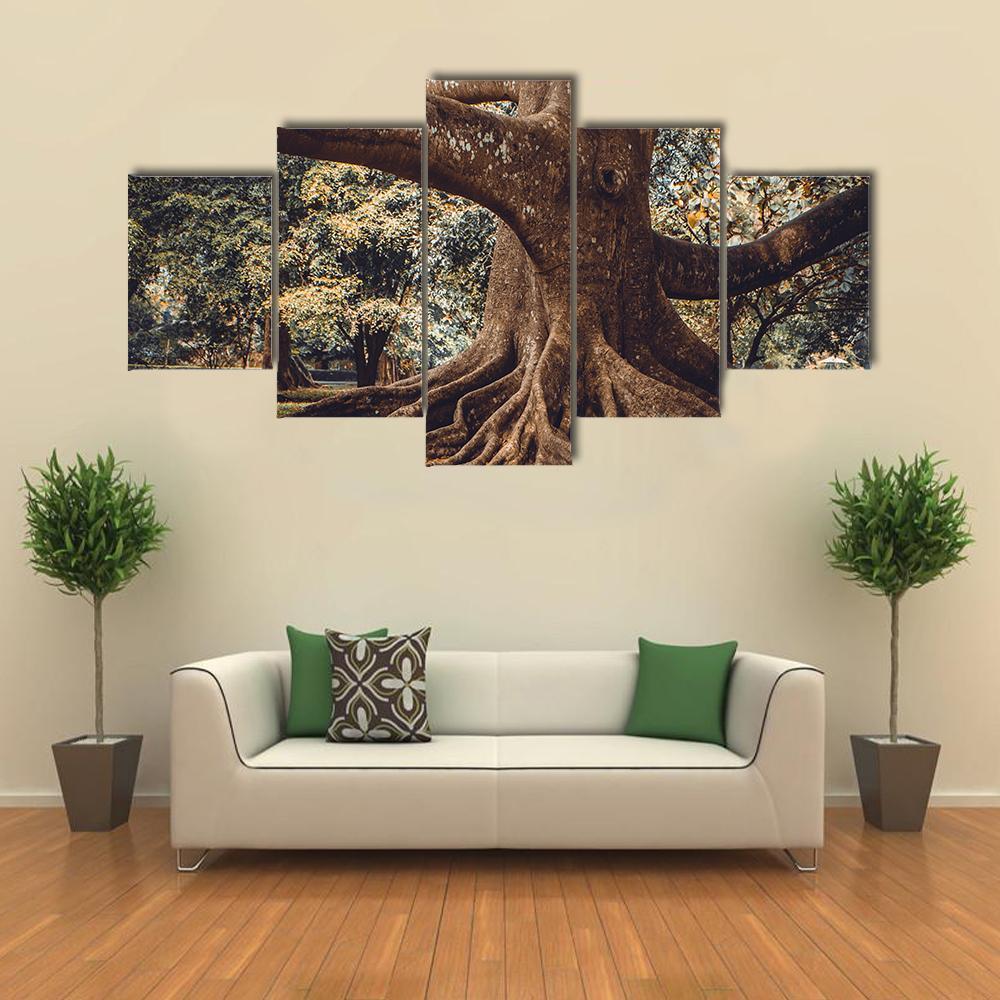 Root Of The Tree In The Forest Canvas Wall Art-3 Horizontal-Gallery Wrap-37" x 24"-Tiaracle