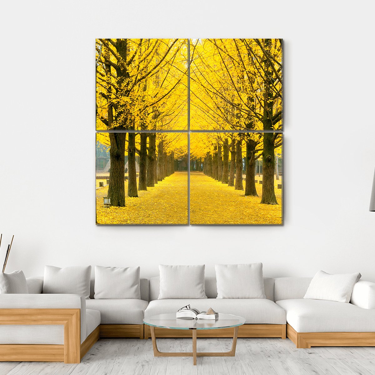 Row Of Yellow Ginkgo Tree In Nami Island Canvas Wall Art-4 Square-Gallery Wrap-17" x 17"-Tiaracle