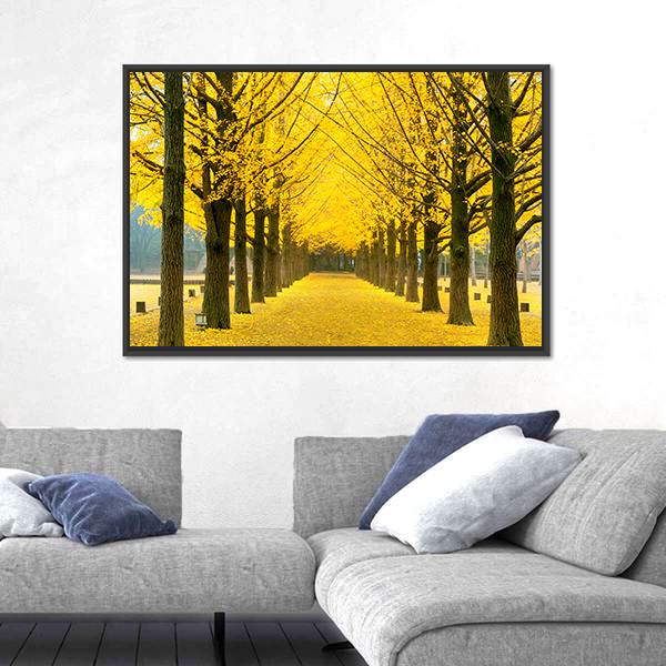 Row Of Yellow Ginkgo Tree In Nami Island Canvas Wall Art-1 Piece-Floating Frame-24" x 16"-Tiaracle