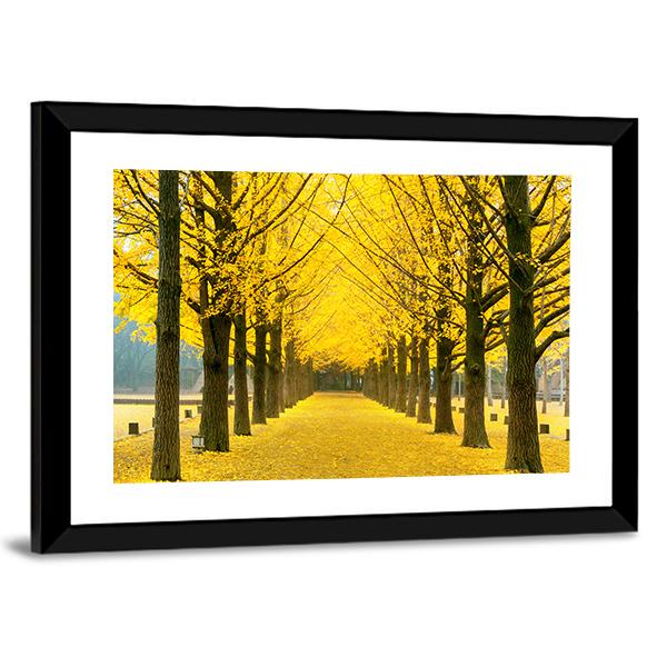 Row Of Yellow Ginkgo Tree In Nami Island Canvas Wall Art-5 Horizontal-Gallery Wrap-22" x 12"-Tiaracle