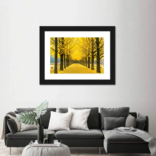 Row Of Yellow Ginkgo Tree In Nami Island Canvas Wall Art-1 Piece-Framed Print-20" x 16"-Tiaracle