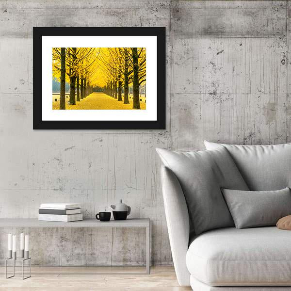Row Of Yellow Ginkgo Tree In Nami Island Canvas Wall Art-5 Horizontal-Gallery Wrap-22" x 12"-Tiaracle