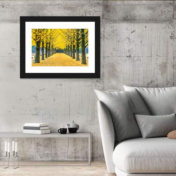 Row Of Yellow Ginkgo Tree In Nami Island Canvas Wall Art-3 Horizontal-Gallery Wrap-25&quot; x 16&quot;-Tiaracle