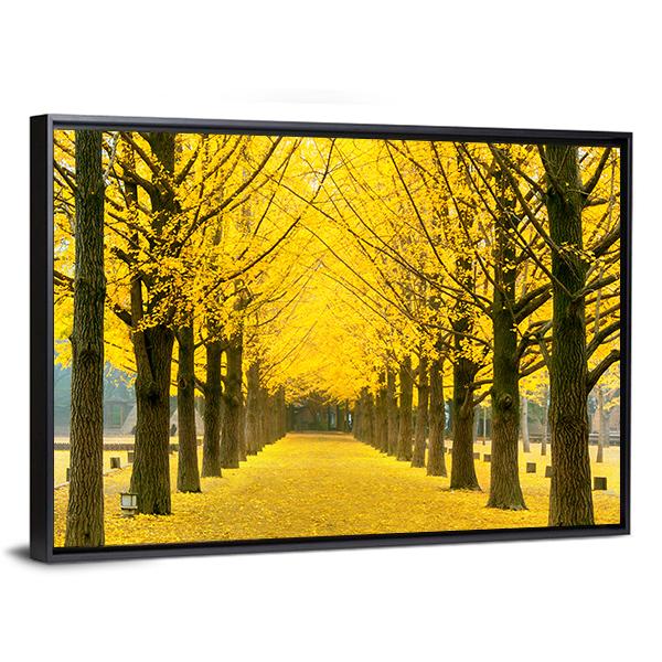 Row Of Yellow Ginkgo Tree In Nami Island Canvas Wall Art-5 Horizontal-Gallery Wrap-22" x 12"-Tiaracle
