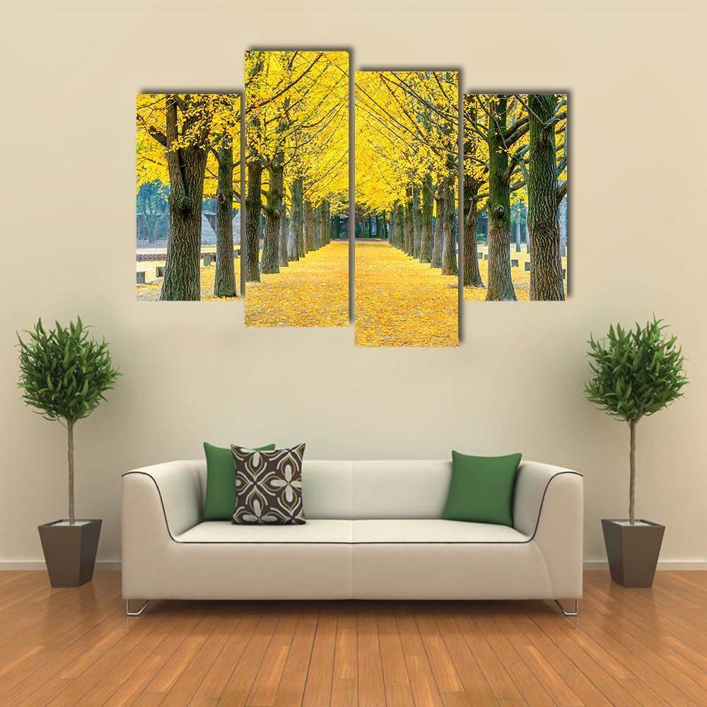 Row Of Yellow Ginkgo Tree In Nami Island Canvas Wall Art-4 Pop-Gallery Wrap-50&quot; x 32&quot;-Tiaracle