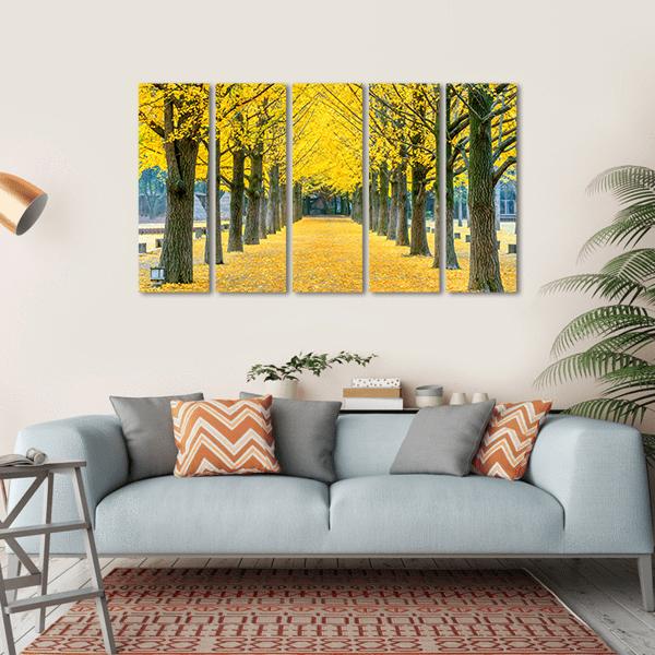 Row Of Yellow Ginkgo Tree In Nami Island Canvas Wall Art-5 Horizontal-Gallery Wrap-22" x 12"-Tiaracle