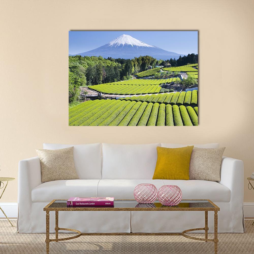 Mount Fuji Over Green Tea Rows Canvas Wall Art in white, green and blue, single panel hung on a wall