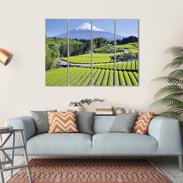 Rows Of Fresh Green Tea With Mount Fuji Canvas Wall Art-4 Horizontal-Gallery Wrap-34" x 24"-Tiaracle