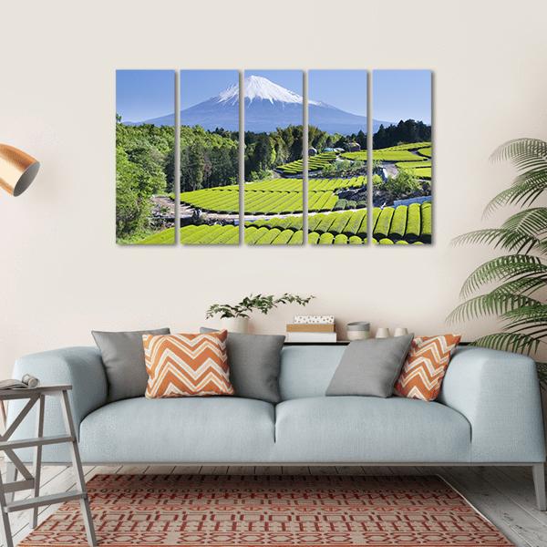Rows Of Fresh Green Tea With Mount Fuji Canvas Wall Art-5 Horizontal-Gallery Wrap-22" x 12"-Tiaracle