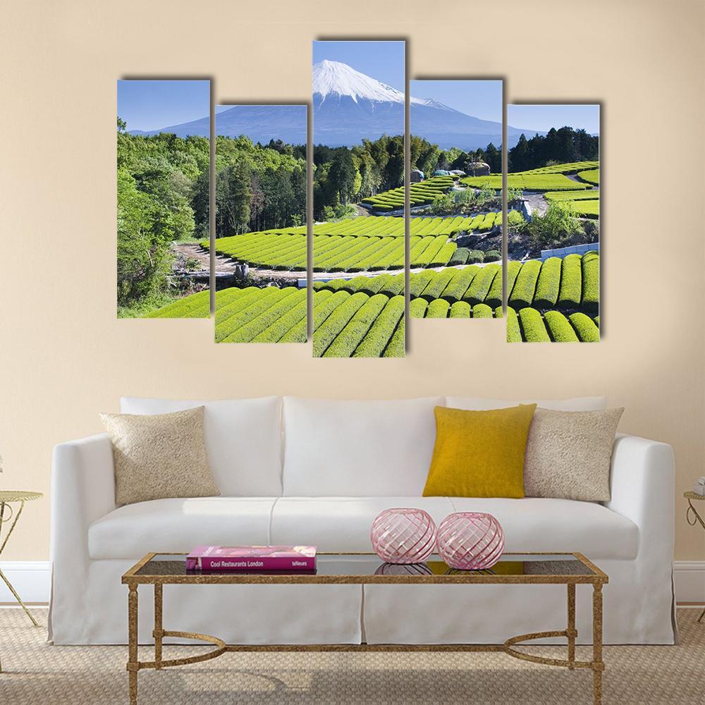 Rows Of Fresh Green Tea With Mount Fuji Canvas Wall Art-1 Piece-Gallery Wrap-48" x 32"-Tiaracle