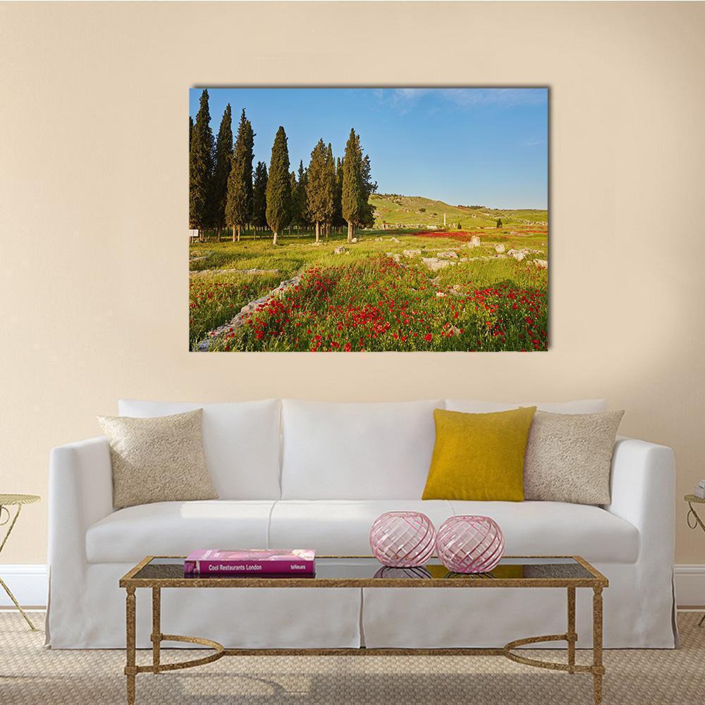 Ruins Of Ancient City In Turkey Canvas Wall Art-1 Piece-Gallery Wrap-48" x 32"-Tiaracle