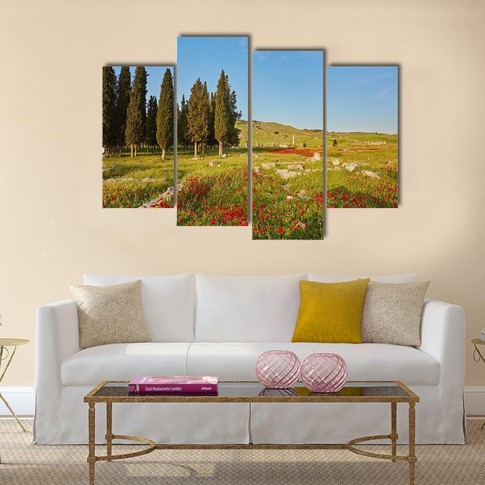 Ruins Of Ancient City In Turkey Canvas Wall Art-4 Pop-Gallery Wrap-50" x 32"-Tiaracle