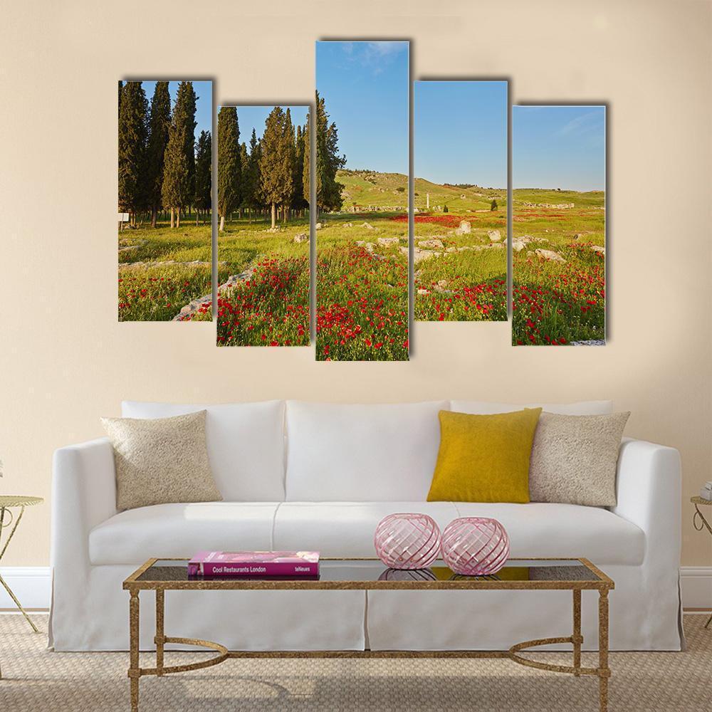Ruins Of Ancient City In Turkey Canvas Wall Art-5 Pop-Gallery Wrap-47" x 32"-Tiaracle