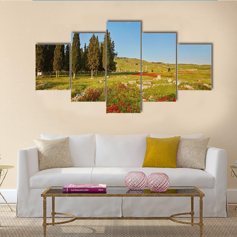Ruins Of Ancient City In Turkey Canvas Wall Art-5 Star-Gallery Wrap-62" x 32"-Tiaracle