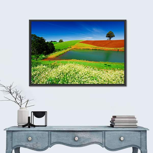 Rural Field In Tasmania Australia Canvas Wall Art-1 Piece-Floating Frame-24" x 16"-Tiaracle