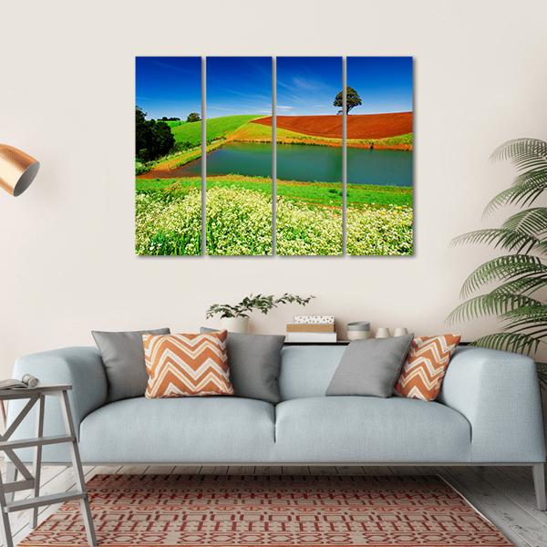 Rural Field In Tasmania Australia Canvas Wall Art-4 Horizontal-Gallery Wrap-34" x 24"-Tiaracle