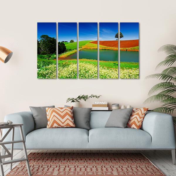 Rural Field In Tasmania Australia Canvas Wall Art-5 Horizontal-Gallery Wrap-22" x 12"-Tiaracle