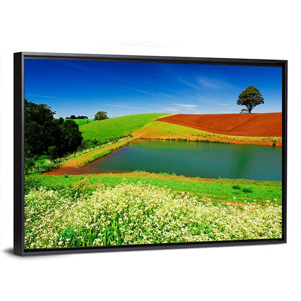 Rural Field In Tasmania Australia Canvas Wall Art-3 Horizontal-Gallery Wrap-25" x 16"-Tiaracle