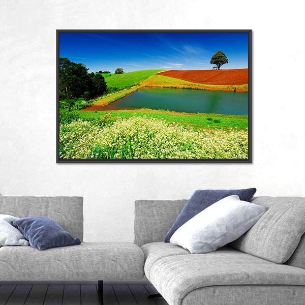 Rural Field In Tasmania Australia Canvas Wall Art-3 Horizontal-Gallery Wrap-25" x 16"-Tiaracle
