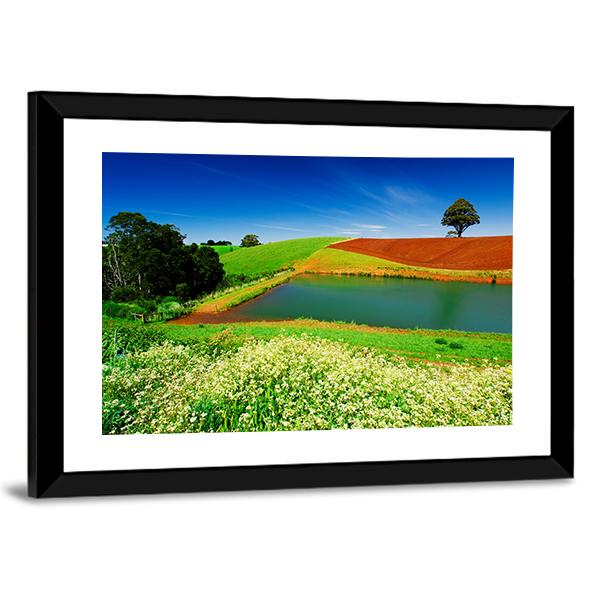 Rural Field In Tasmania Australia Canvas Wall Art-3 Horizontal-Gallery Wrap-25" x 16"-Tiaracle