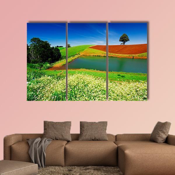 Rural Field In Tasmania Australia Canvas Wall Art-3 Horizontal-Gallery Wrap-37" x 24"-Tiaracle