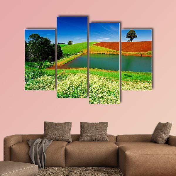 Rural Field In Tasmania Australia Canvas Wall Art-4 Pop-Gallery Wrap-50" x 32"-Tiaracle