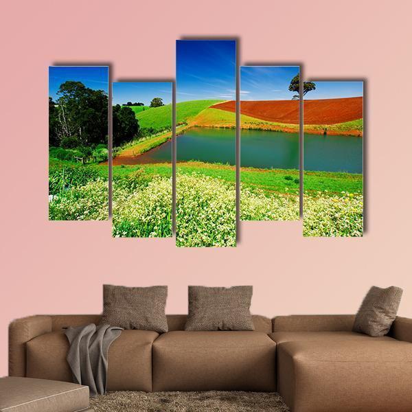 Rural Field In Tasmania Australia Canvas Wall Art-5 Pop-Gallery Wrap-47" x 32"-Tiaracle