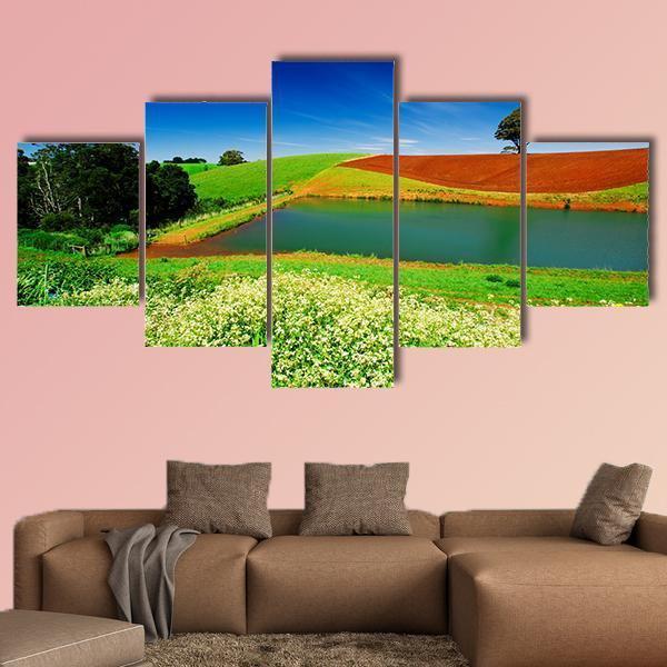 Rural Field In Tasmania Australia Canvas Wall Art-5 Star-Gallery Wrap-62" x 32"-Tiaracle