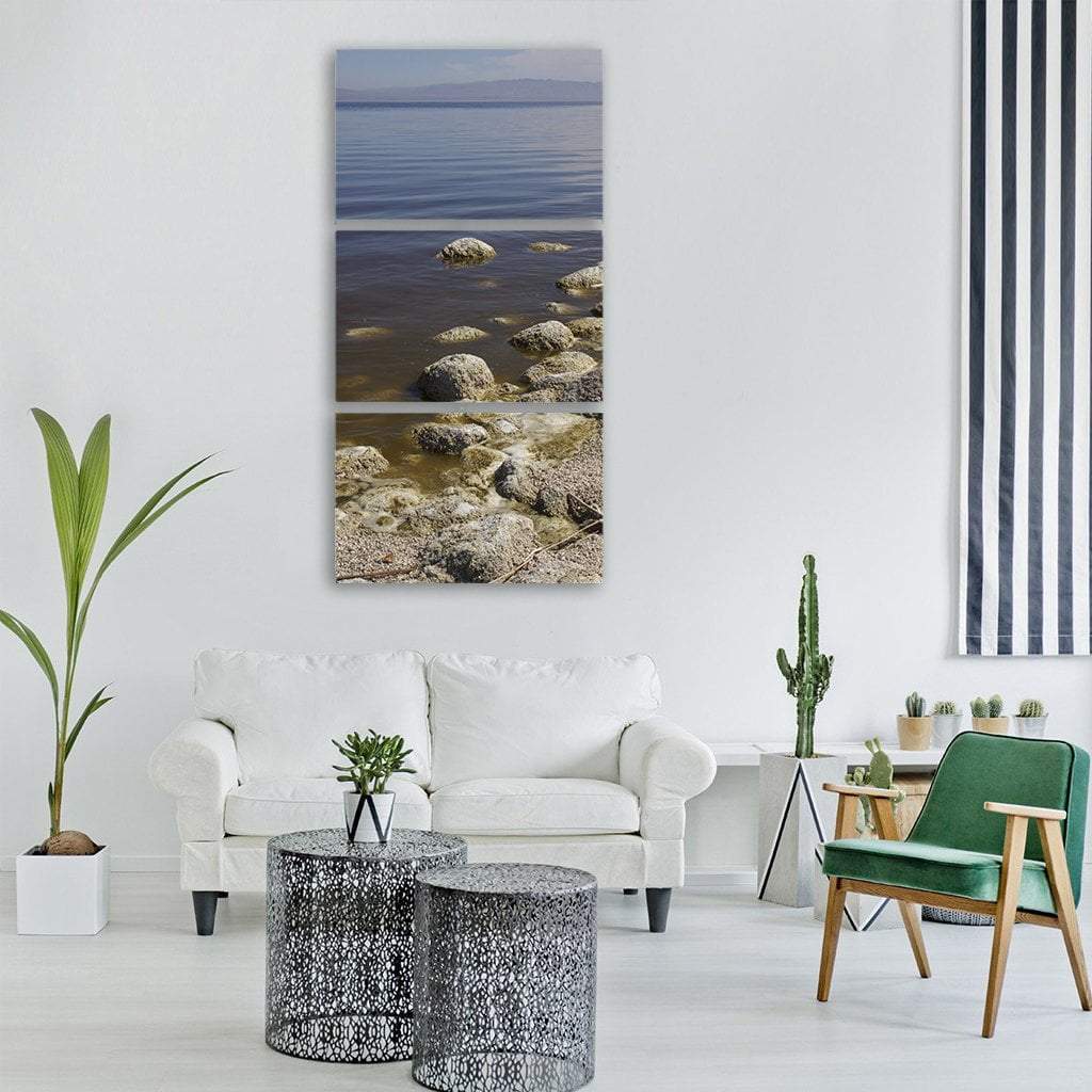 Salton Sea In California Vertical Canvas Wall Art-3 Vertical-Gallery Wrap-12" x 25"-Tiaracle