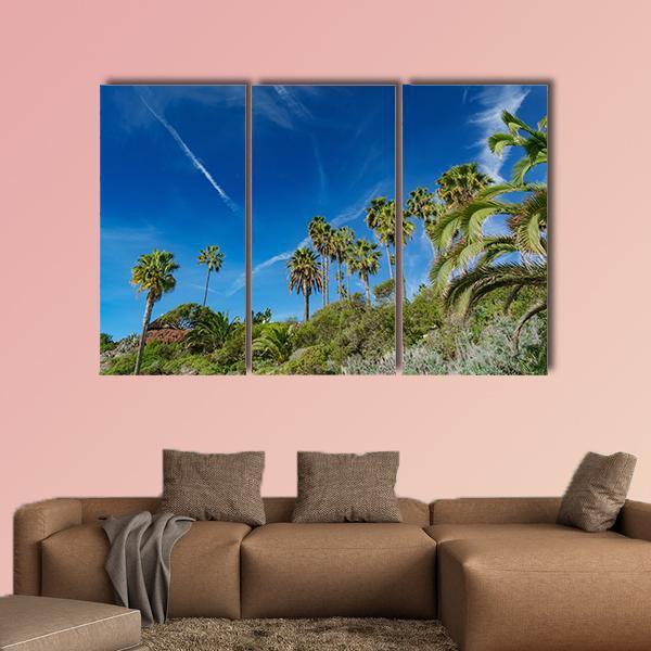 Scenery Around Laguna Beach In California Canvas Wall Art-3 Horizontal-Gallery Wrap-37" x 24"-Tiaracle