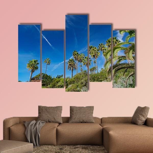 Scenery Around Laguna Beach In California Canvas Wall Art-5 Pop-Gallery Wrap-47" x 32"-Tiaracle
