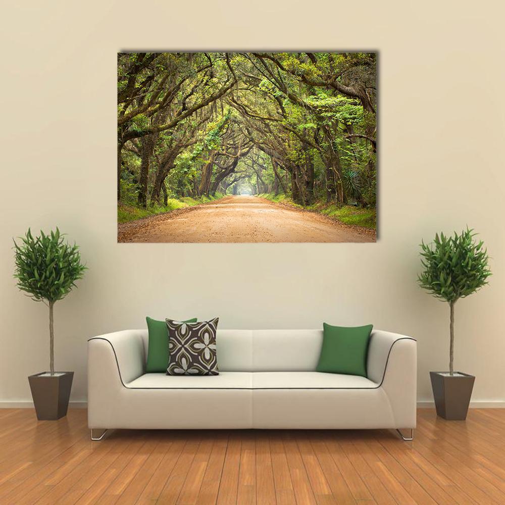 Tree-lined Road with Spanish Moss Canvas Wall Art in beige, brown and green, single panel hung on a wall