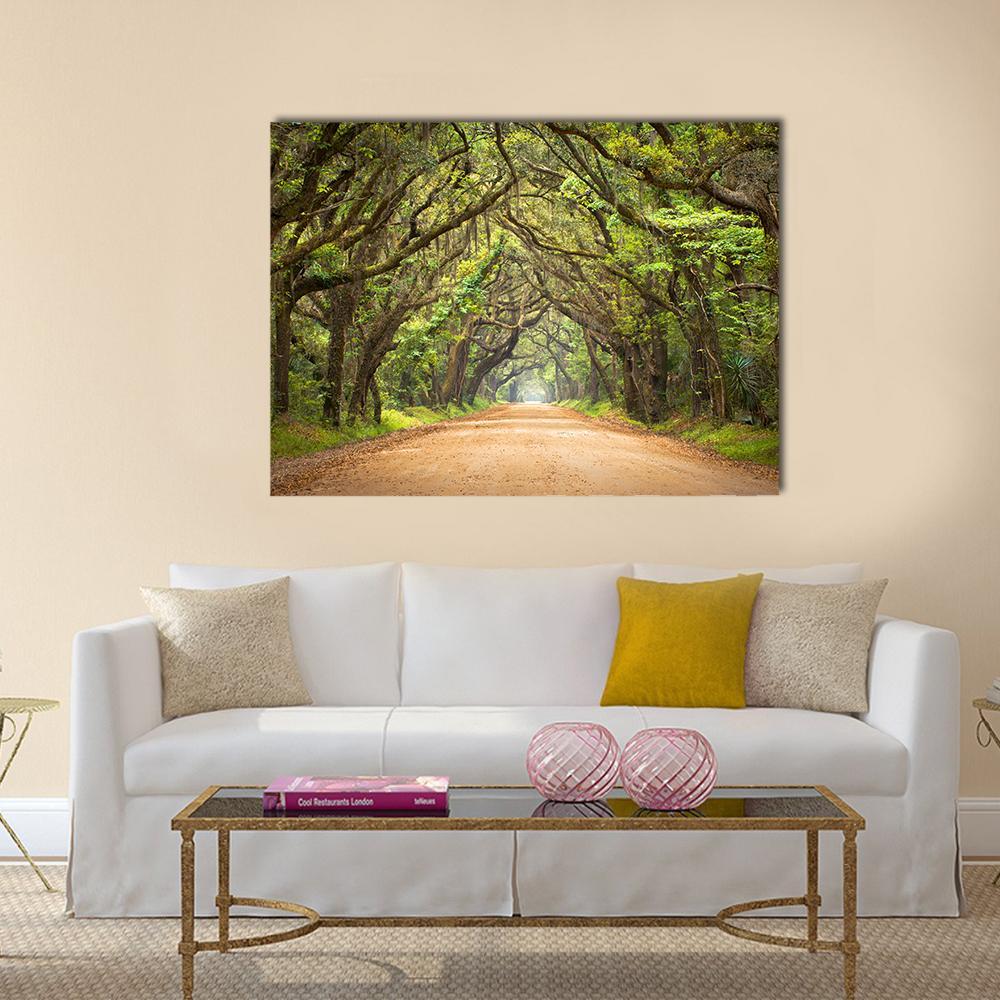Forest Road with Spanish Moss Canvas Wall Art in beige, brown and green, single panel hung on a wall