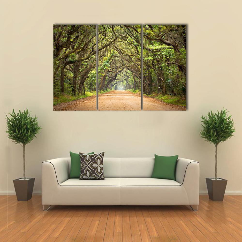 Tree-lined Road with Spanish Moss Canvas Wall Art in beige, brown and green, 3 panel horizontal set hung on a wall