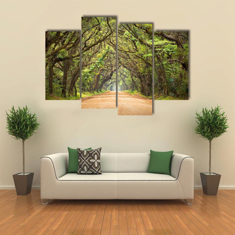 Scenic Forest With Spanish Moss Edisto Island Canvas Wall Art-4 Pop-Gallery Wrap-34" x 20"-Tiaracle