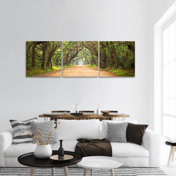 Scenic Forest With Spanish Moss Edisto Island Panoramic Canvas Wall Art-3 Piece-25" x 08"-Tiaracle