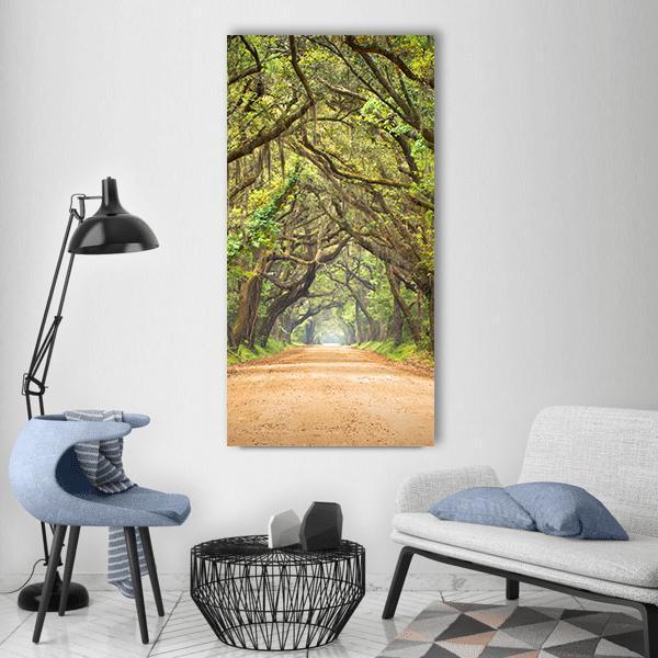 Scenic Forest With Spanish Moss Edisto Island Vertical Canvas Wall Art-3 Vertical-Gallery Wrap-12" x 25"-Tiaracle