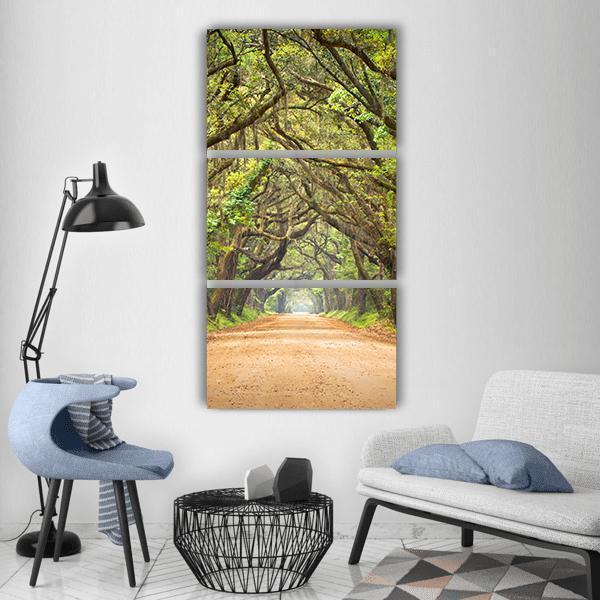 Scenic Forest With Spanish Moss Edisto Island Vertical Canvas Wall Art-3 Vertical-Gallery Wrap-12" x 25"-Tiaracle