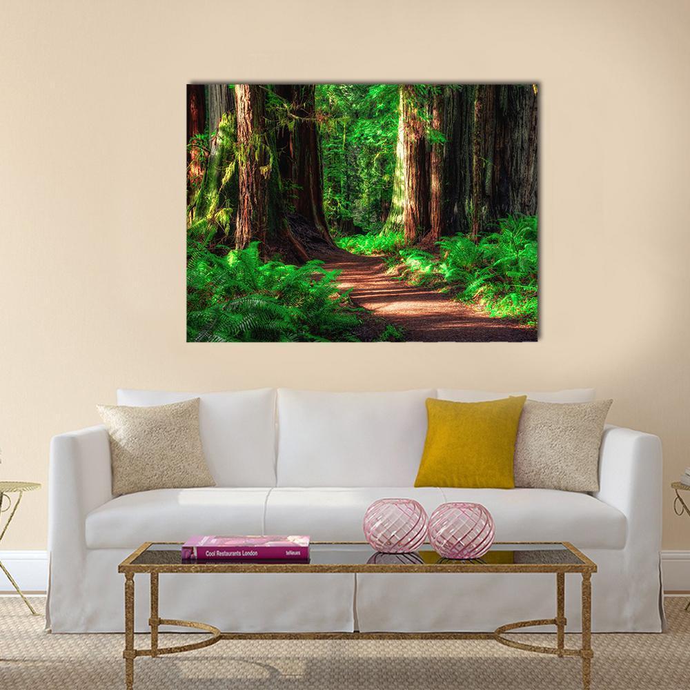 Sunlit Path Through Redwood Forest Canvas Wall Art in brown and green, single panel hung on a wall