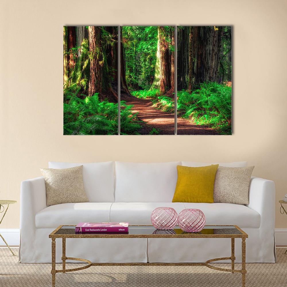 Scenic Path Through The Redwoods Forest Canvas Wall Art-3 Horizontal-Gallery Wrap-25" x 16"-Tiaracle