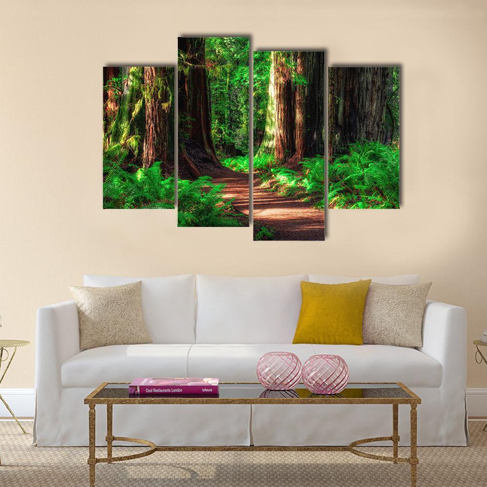 Scenic Path Through The Redwoods Forest Canvas Wall Art-4 Pop-Gallery Wrap-34" x 20"-Tiaracle