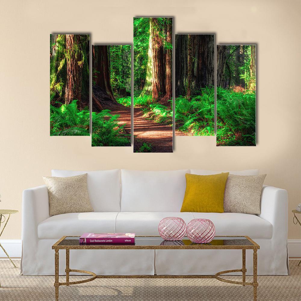 Scenic Path Through The Redwoods Forest Canvas Wall Art-5 Pop-Gallery Wrap-32" x 21"-Tiaracle