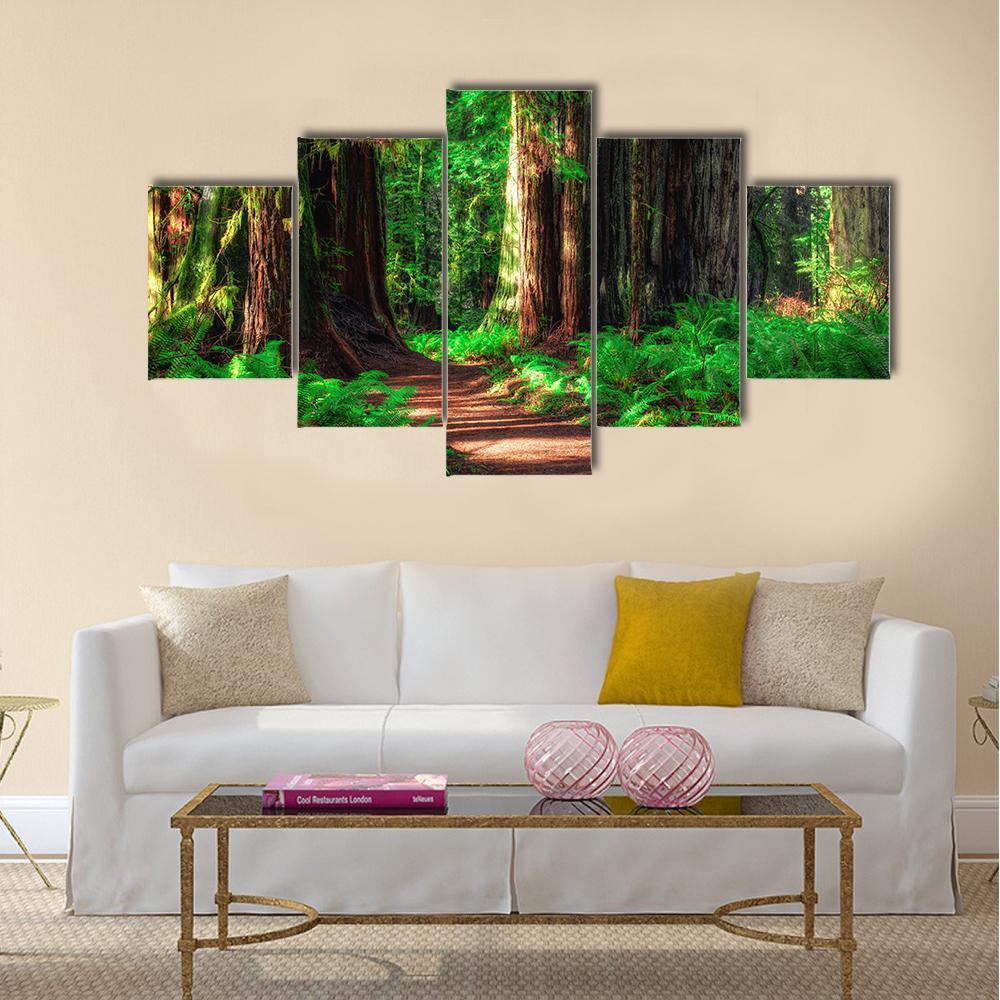 Scenic Path Through The Redwoods Forest Canvas Wall Art-5 Star-Gallery Wrap-42" x 21"-Tiaracle